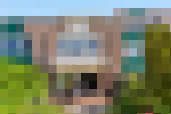 Meelbes 6 Rotterdam thumbnail 32
