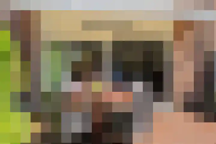 Meelbes 6 Rotterdam thumbnail 33