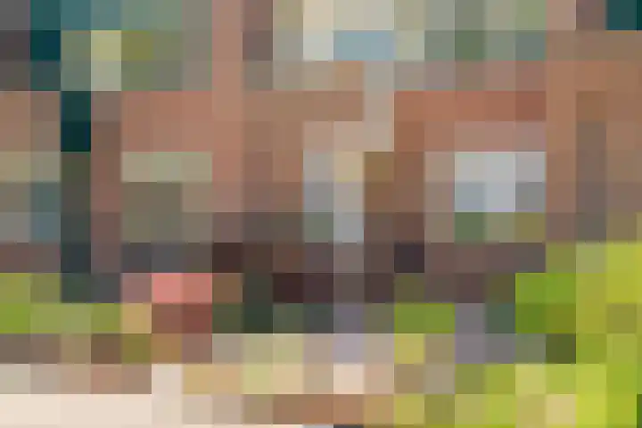 Meelbes 6 Rotterdam thumbnail 34