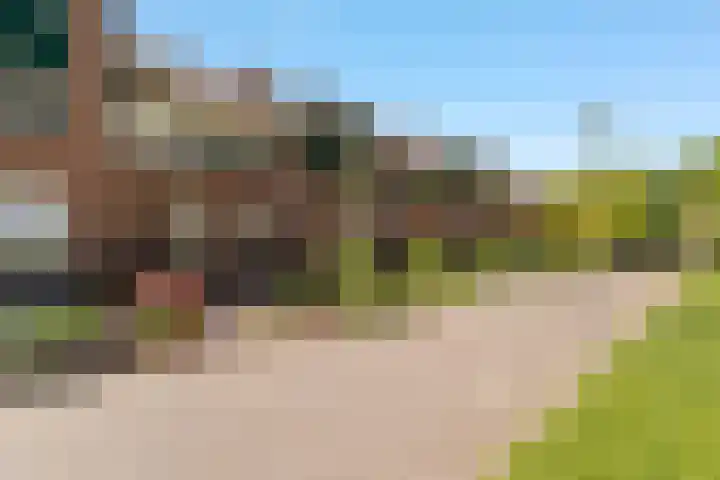 Meelbes 6 Rotterdam thumbnail 35
