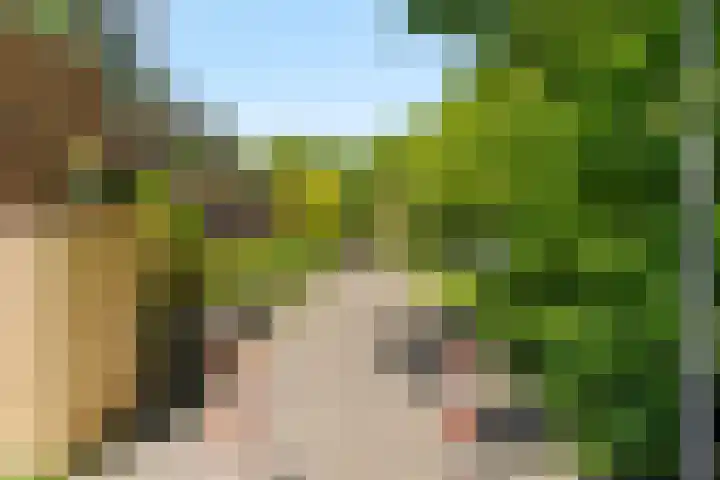 Meelbes 6 Rotterdam thumbnail 36