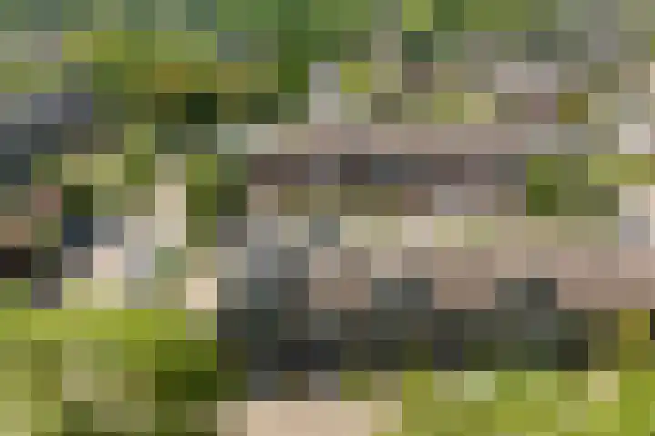 Meelbes 6 Rotterdam thumbnail 37