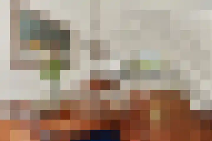 Meelbes 6 Rotterdam thumbnail 4
