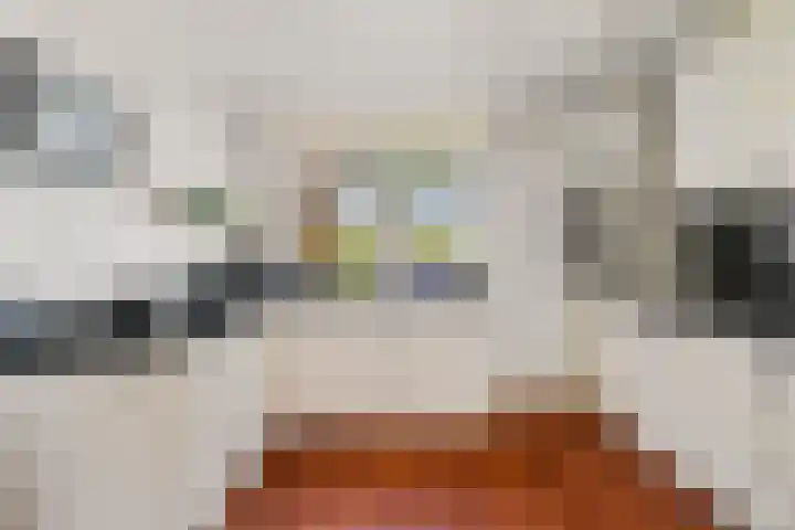Meelbes 6 Rotterdam thumbnail 5