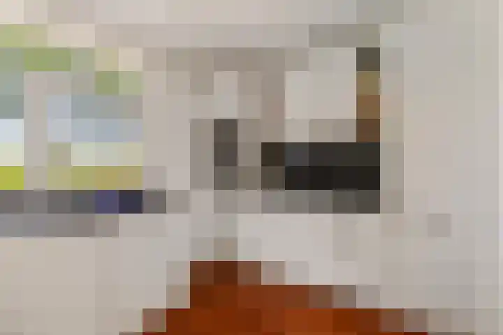 Meelbes 6 Rotterdam thumbnail 6
