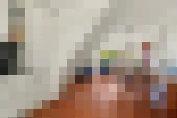 Meelbes 6 Rotterdam thumbnail 7