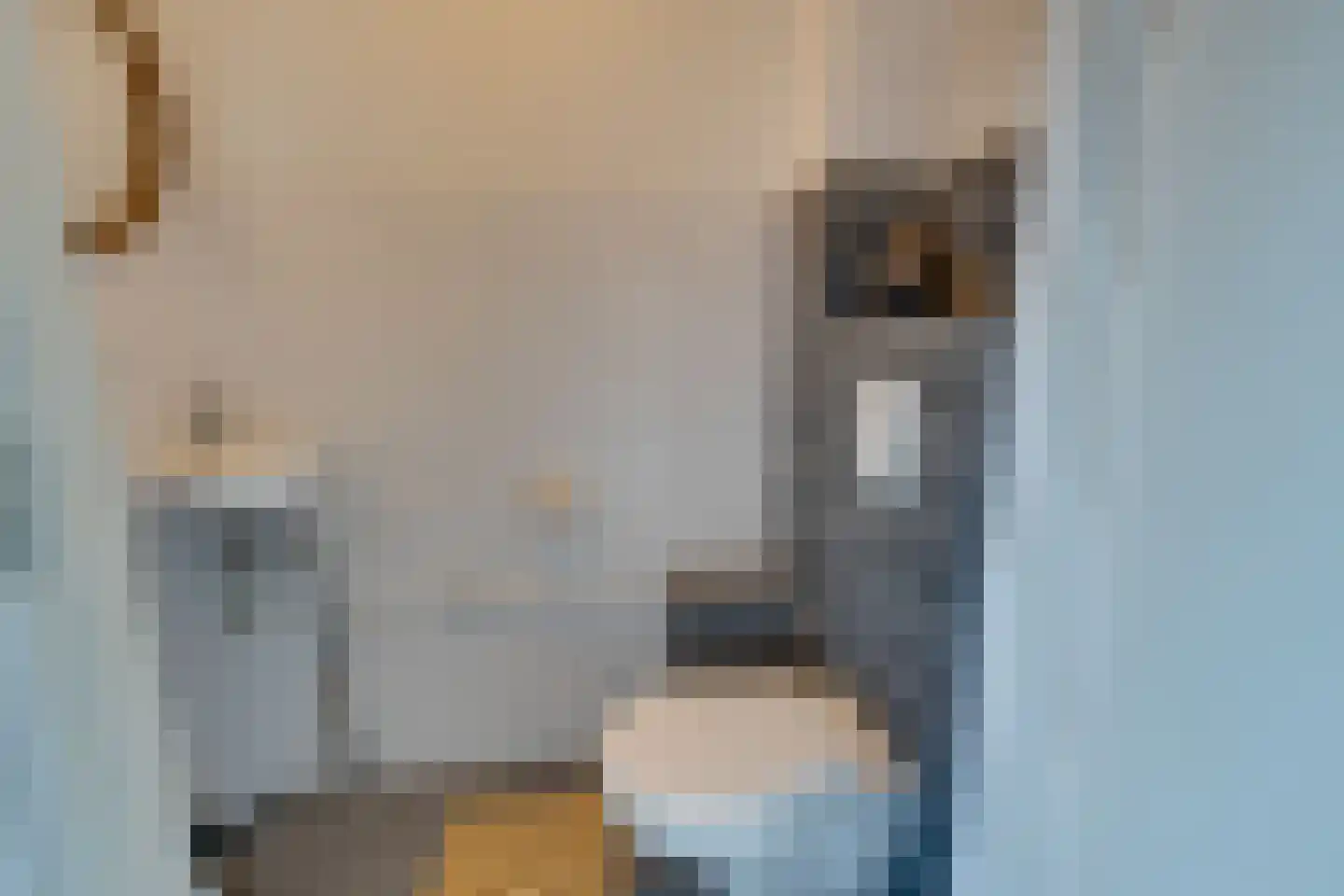 Meelbeskamp 115 Diemen thumbnail 31