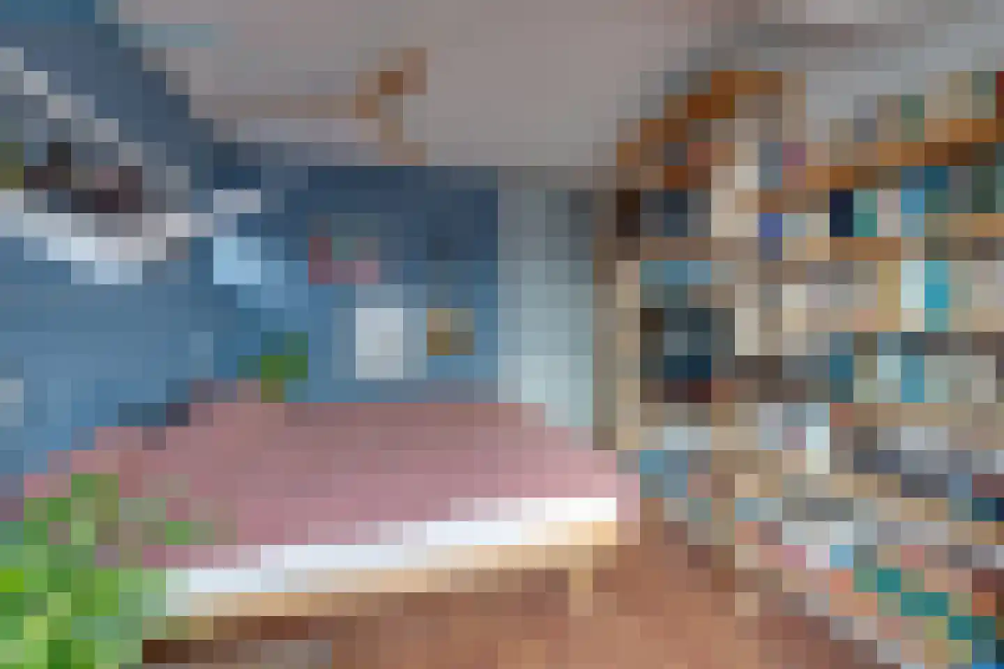 Meelbeskamp 115 Diemen thumbnail 35