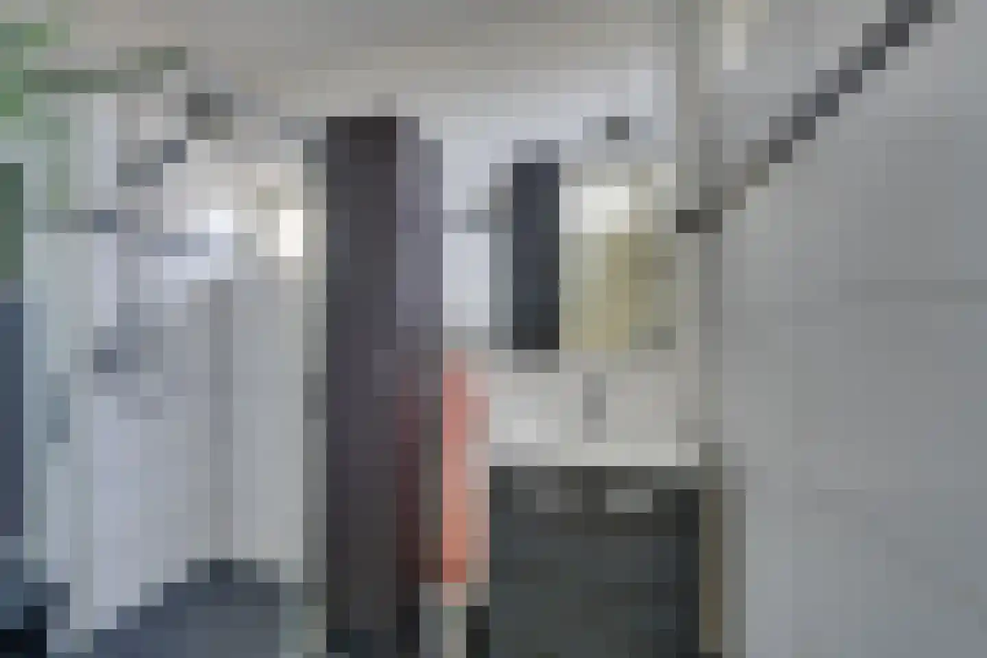 Meelbeskamp 115 Diemen thumbnail 39