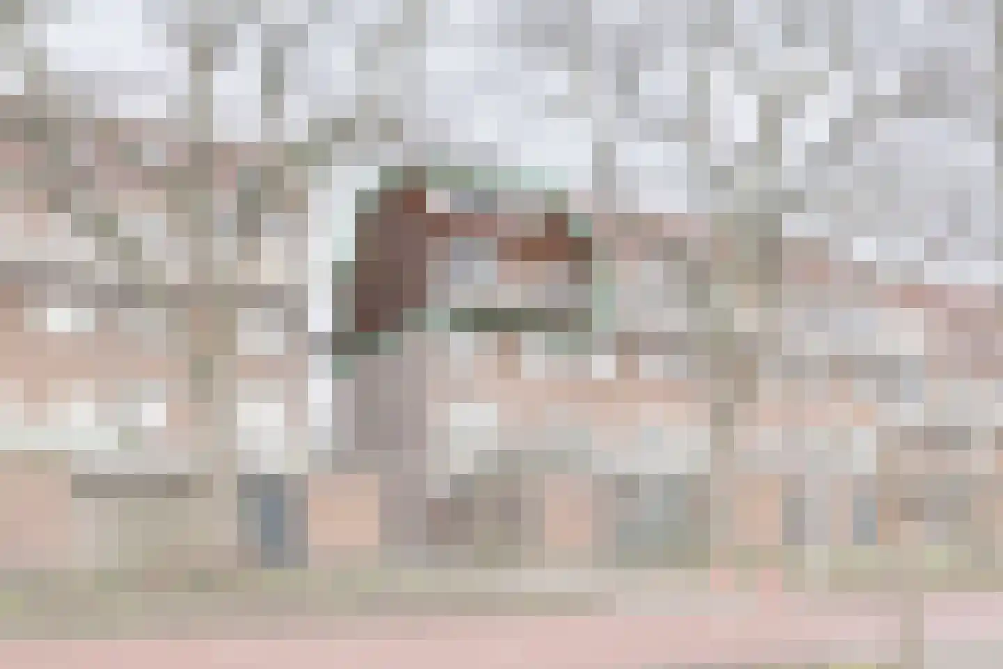 Meelbeskamp 115 Diemen thumbnail 5