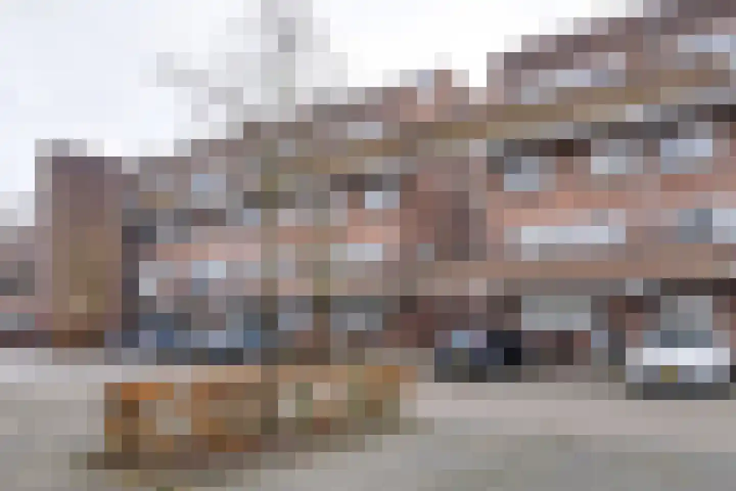 Meelbeskamp 115 Diemen thumbnail 7
