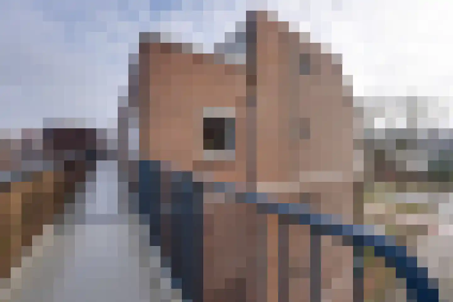 Meelbeskamp 115 Diemen thumbnail 9