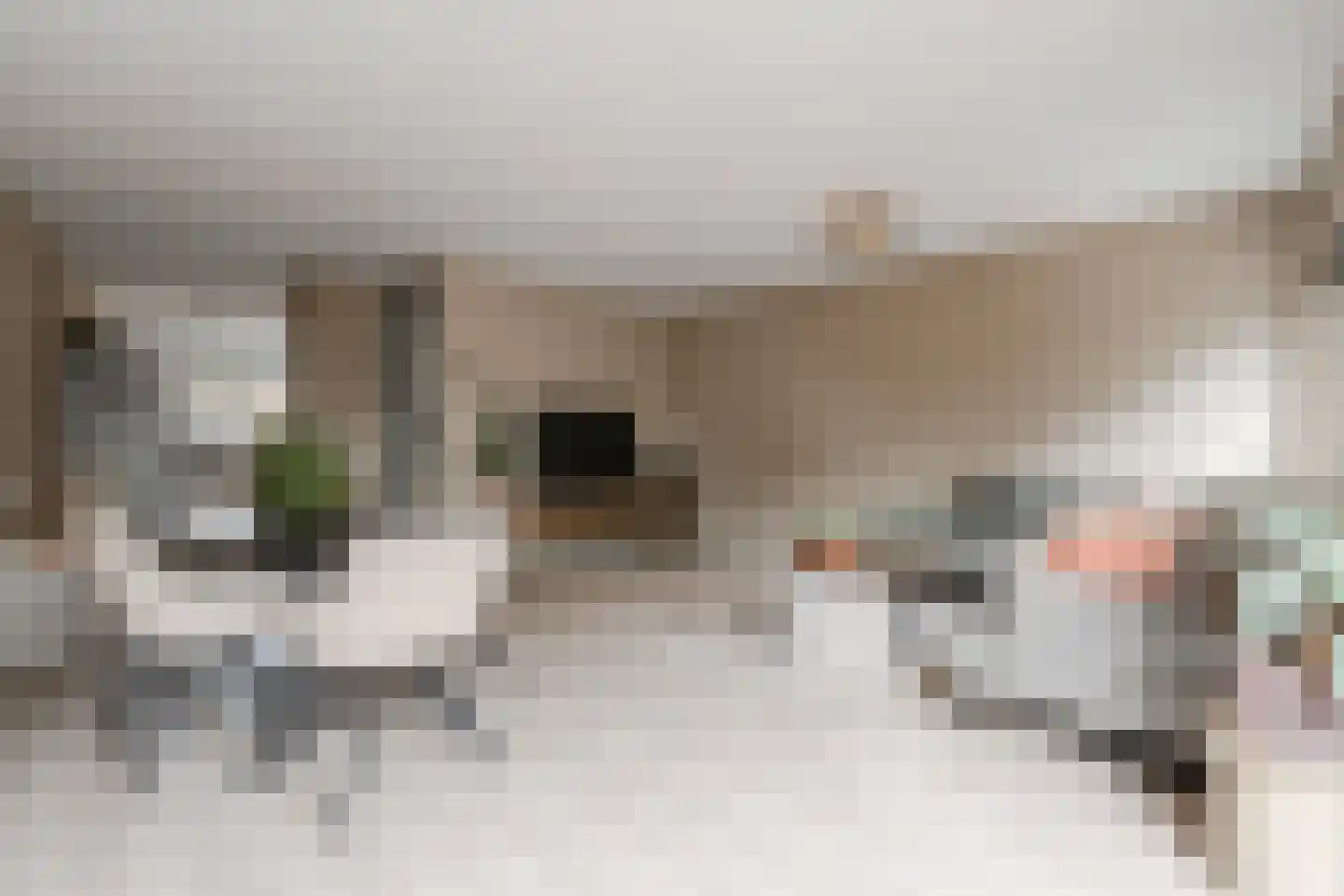 Meelbeskamp 19 Diemen thumbnail 15