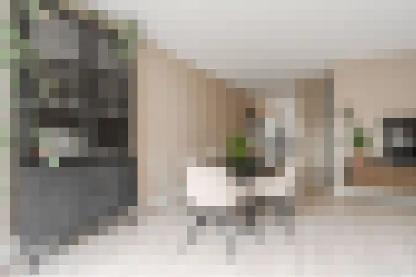 Meelbeskamp 19 Diemen thumbnail 16