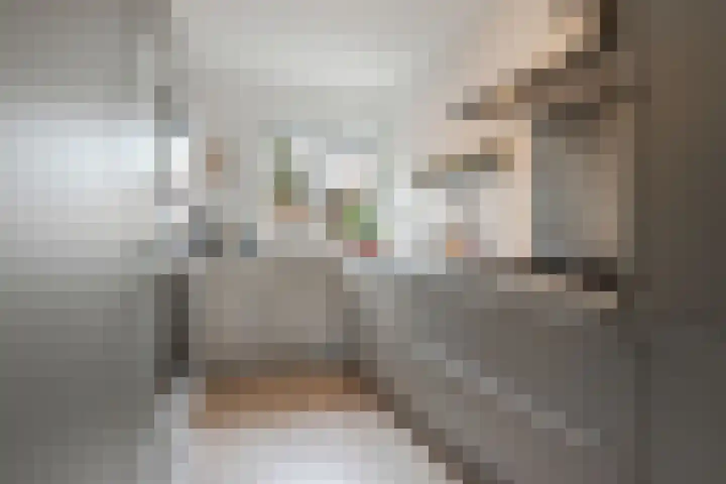 Meelbeskamp 19 Diemen thumbnail 21