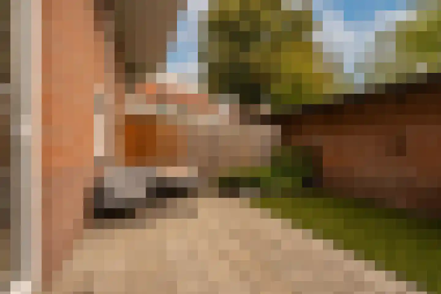 Meelbeskamp 19 Diemen thumbnail 27