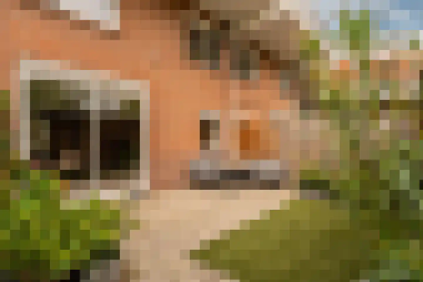 Meelbeskamp 19 Diemen thumbnail 28