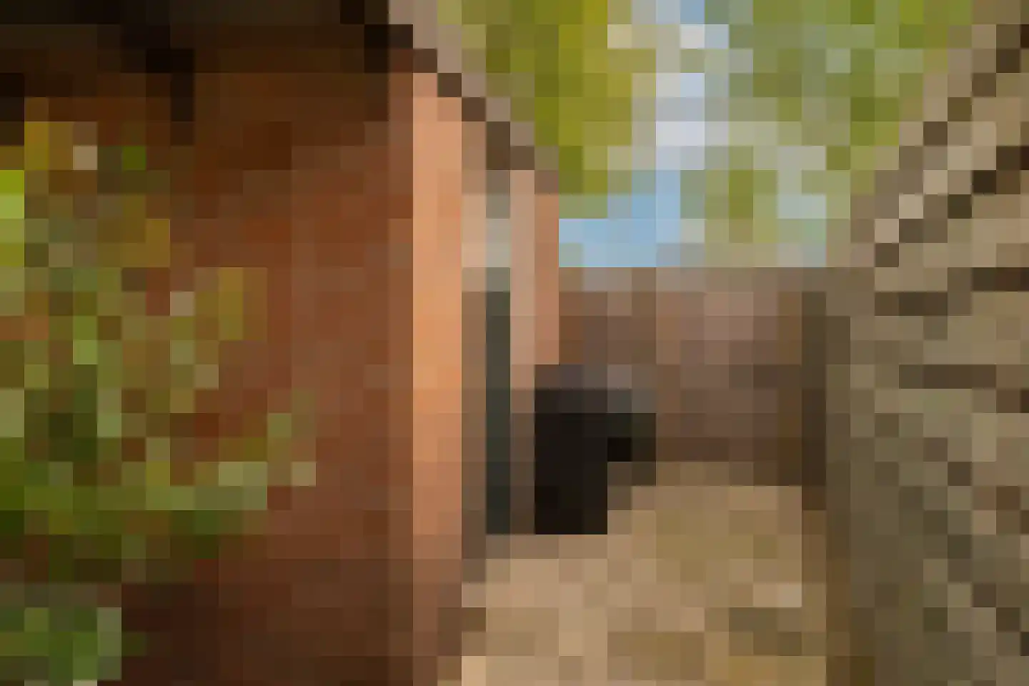 Meelbeskamp 19 Diemen thumbnail 31