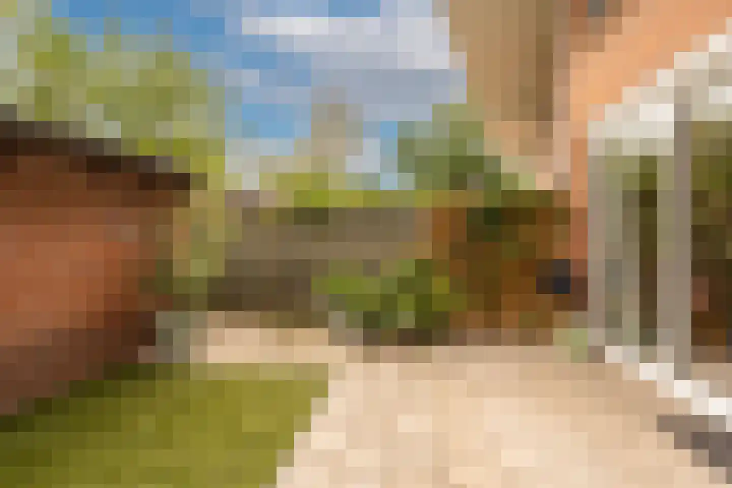Meelbeskamp 19 Diemen thumbnail 32