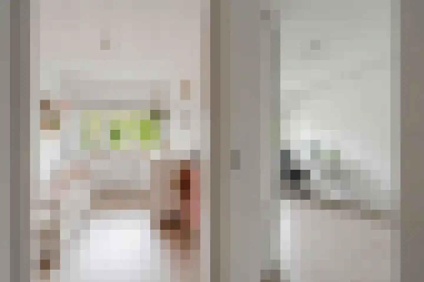 Meelbeskamp 19 Diemen thumbnail 36