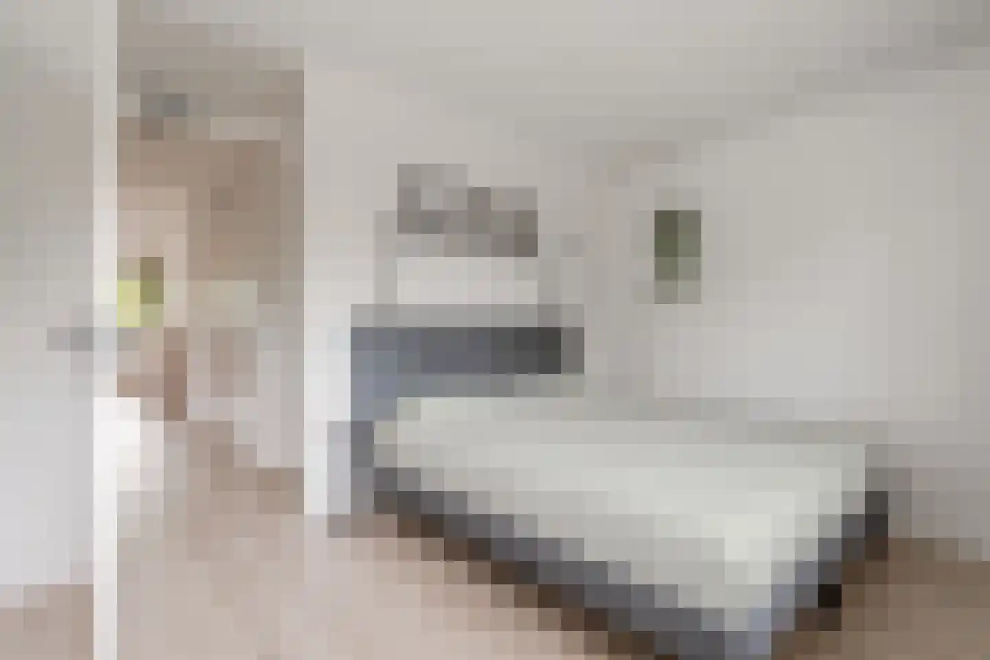 Meelbeskamp 19 Diemen thumbnail 45