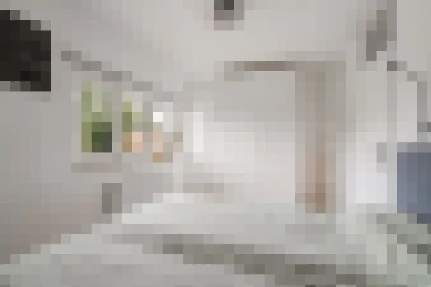 Meelbeskamp 19 Diemen thumbnail 46