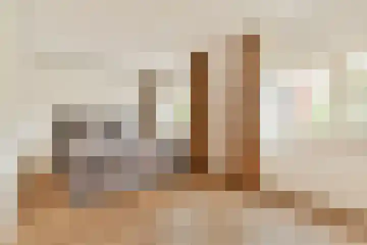 Meelbeskamp 6 Diemen thumbnail 11