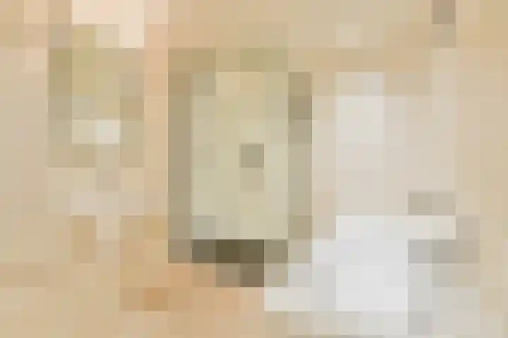 Meelbeskamp 6 Diemen thumbnail 15