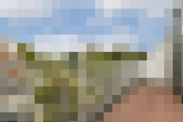 Meelbeskamp 6 Diemen thumbnail 19