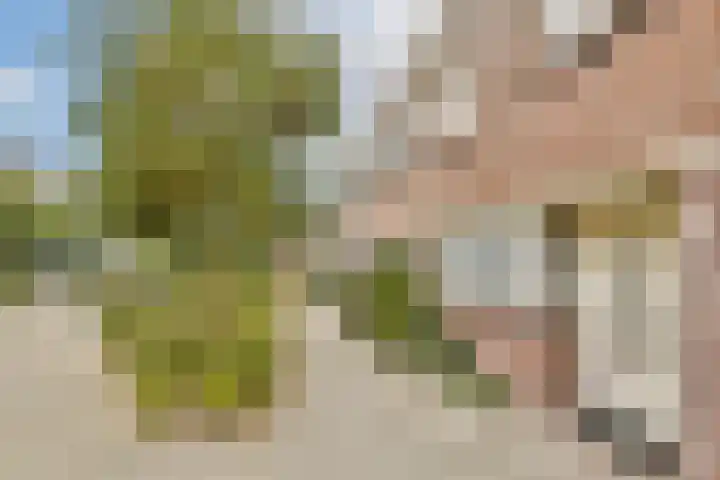Meelbeskamp 6 Diemen thumbnail 22