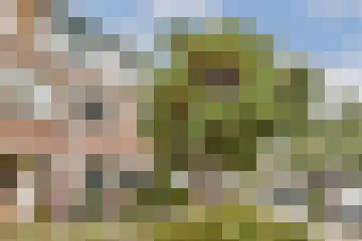 Meelbeskamp 6 Diemen thumbnail 23
