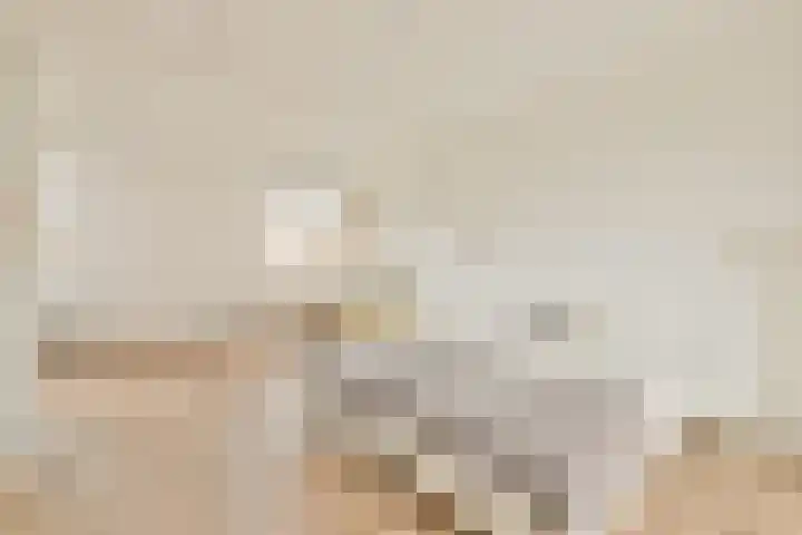 Meelbeskamp 6 Diemen thumbnail 4
