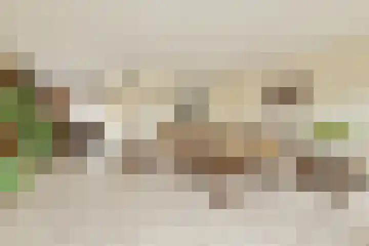 Meelbeskamp 6 Diemen thumbnail 5