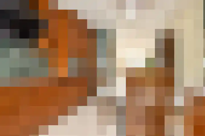 Meelbeskamp 6 Diemen thumbnail 8