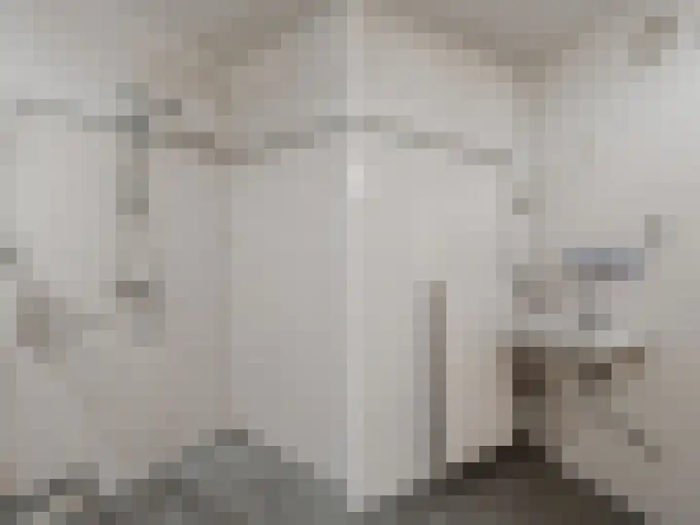 Meelbeskamp 81 Diemen thumbnail 21