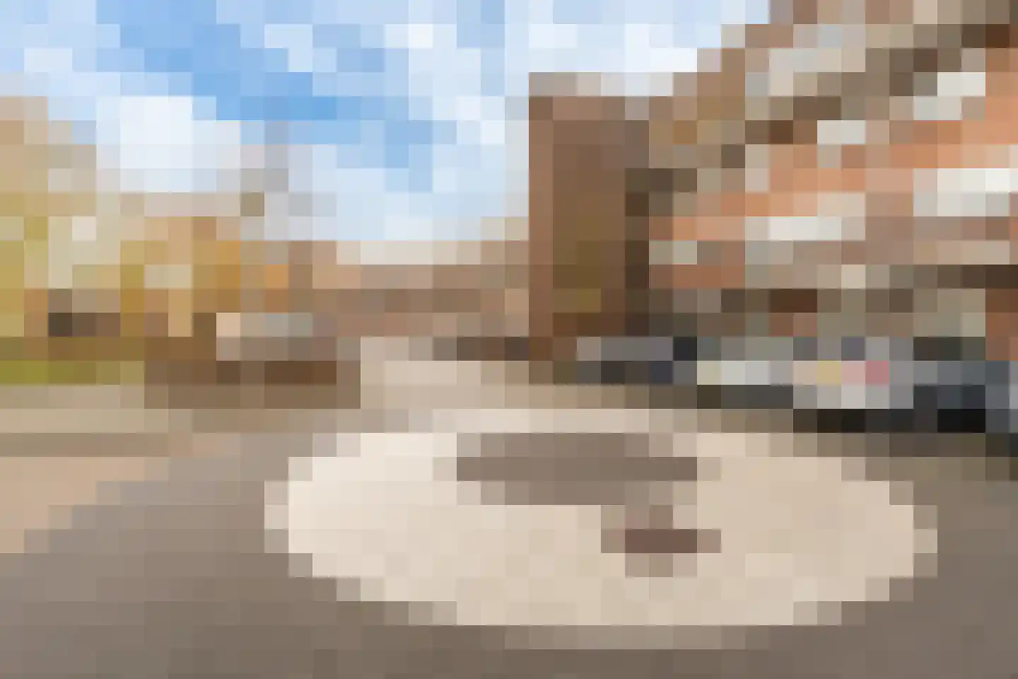 Meelbeskamp 81 Diemen thumbnail 40