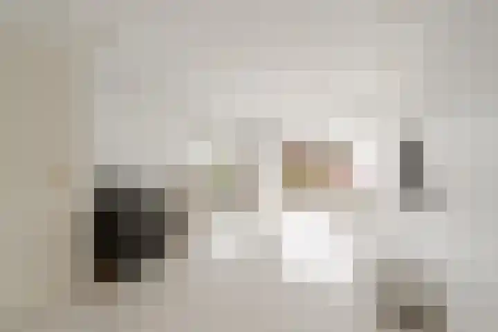 Meelbeskamp 87 Diemen thumbnail 10