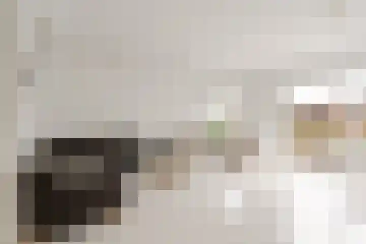 Meelbeskamp 87 Diemen thumbnail 11