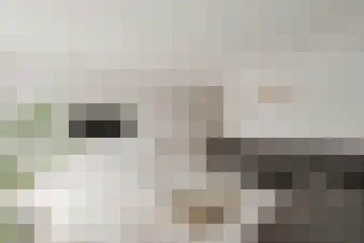 Meelbeskamp 87 Diemen thumbnail 14