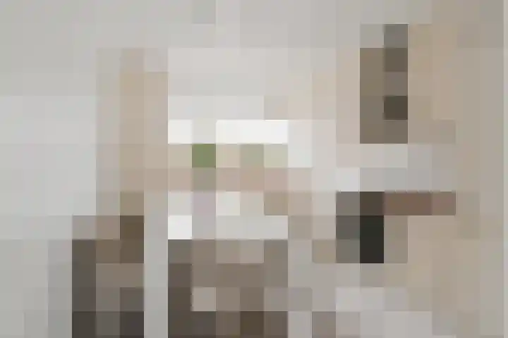 Meelbeskamp 87 Diemen thumbnail 18