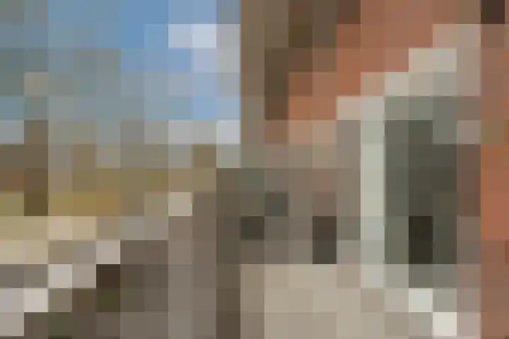 Meelbeskamp 87 Diemen thumbnail 26