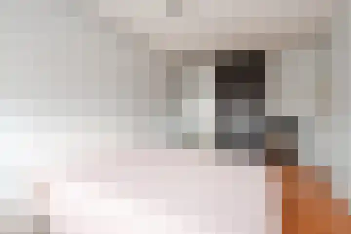 Meelbeskamp 87 Diemen thumbnail 36