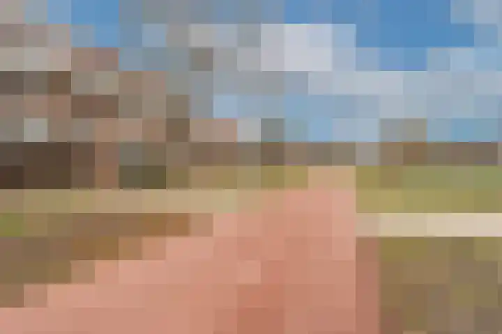 Meelbeskamp 87 Diemen thumbnail 46