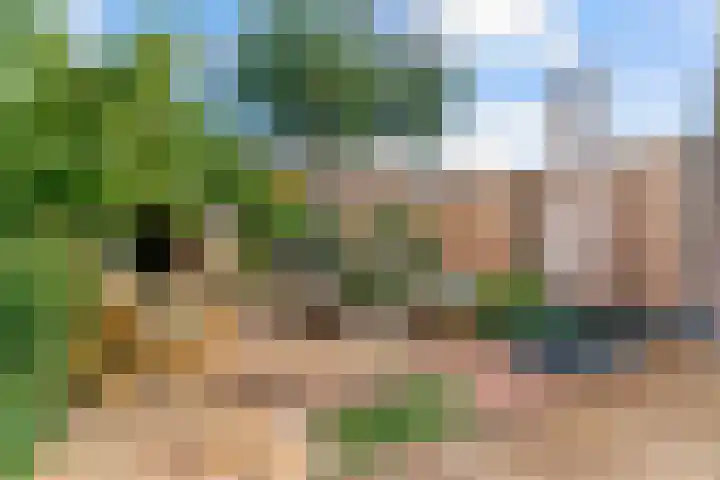 Meelbeslaan 20 Amstelveen thumbnail 14