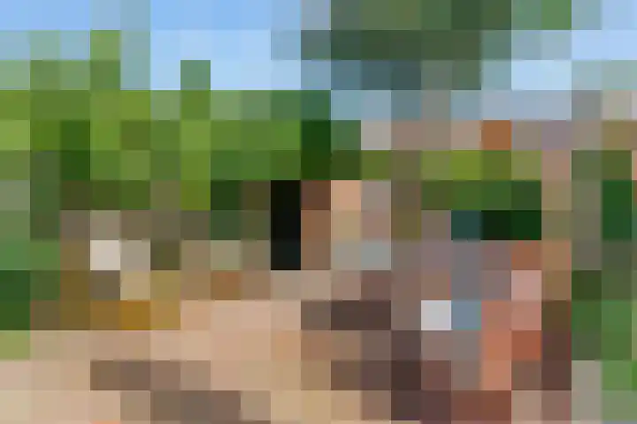 Meelbeslaan 20 Amstelveen thumbnail 19