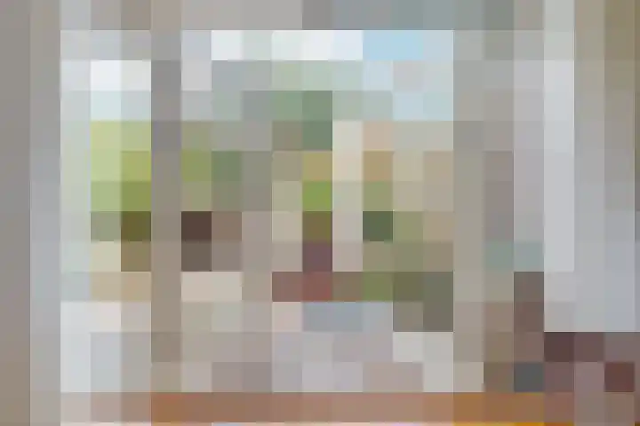 Meelbeslaan 20 Amstelveen thumbnail 4