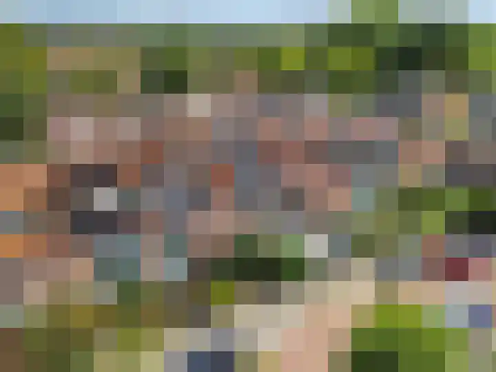 Meelbeslaan 20 Amstelveen thumbnail 40