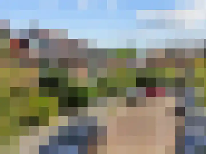 Meelbeslaan 20 Amstelveen thumbnail 41