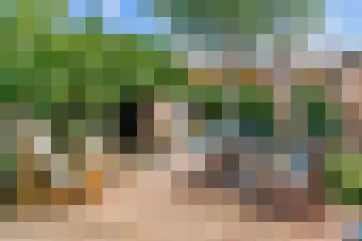 Meelbeslaan 20 Amstelveen thumbnail 5