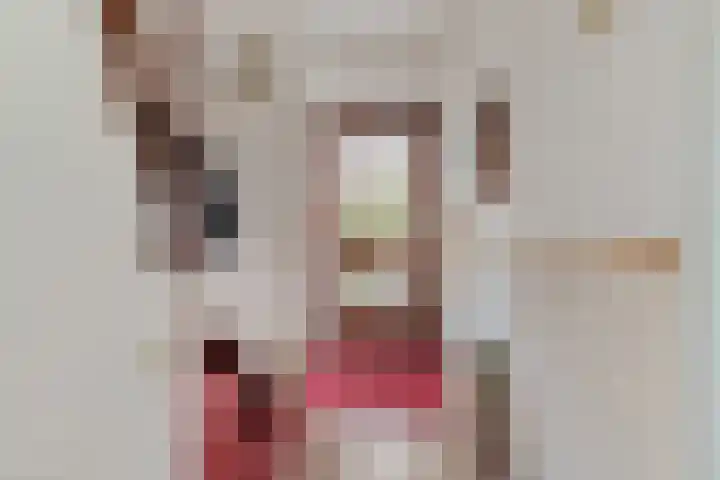 Meelbeslaan 6 Amstelveen thumbnail 4